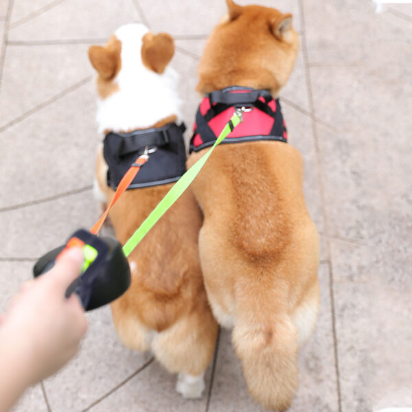 Pet Leash Dog Double Head Rope Multicolor - Image 3